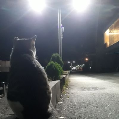 Schicksal und Gemüt sind Namen eines Begriffs.
일기장/시문학