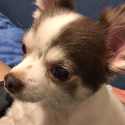 ストームのゆゆにゃん垢、 https://t.co/fGUaglZbkd よろしくお願いします。 20数年ぶりに私は帰ってきた!ガンプラはじめました。最近ではガンプラ垢になってます ガンプラ好きさんと繋がりたい 天安門事件←スパム避け