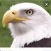 Baha Kara (@bahakar62275463) Twitter profile photo Baha Kara (@bahakar62275463) Twitter profile photo