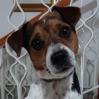 ClaudioMalzone's profile picture. Ci vogliono settantadue muscoli per fare il broncio ma solo dodici per sorridere. Provaci per una volta