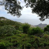 St Helena Notes (@plantationnotes) 's Twitter Profile