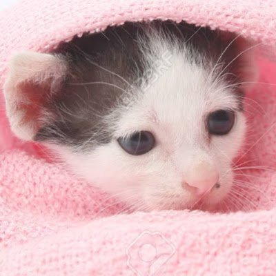 neha_p7's profile picture. 