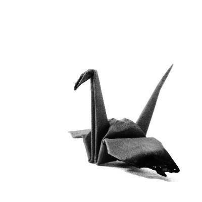 Ailin272's profile picture. 🇨🇺cultivo una rosa blanca