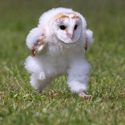 BlakeSchrecken1's profile picture. Am I a guard or an inmate?