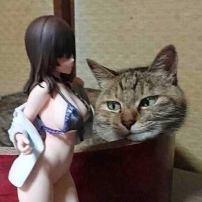sama77920531's profile picture. 