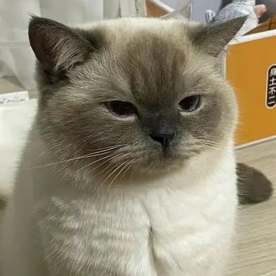 zeng_anastasia's profile picture. PhD Student at Peking University (Biology Major) 
Bioinformatics, Computational Biology.
Addicted to neuroscience(decision making)🥰🥰