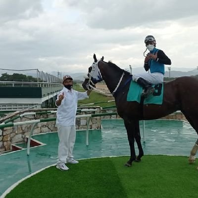 Cristiano servidor de cristo, y entrenador de caballos pura sangres de carrera en el hipódromo de valencia