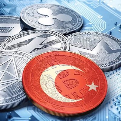 coinetr's profile picture. Trader