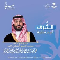 غزايز الجزيرة🔥 (@nn_6rr) 's Twitter Profile