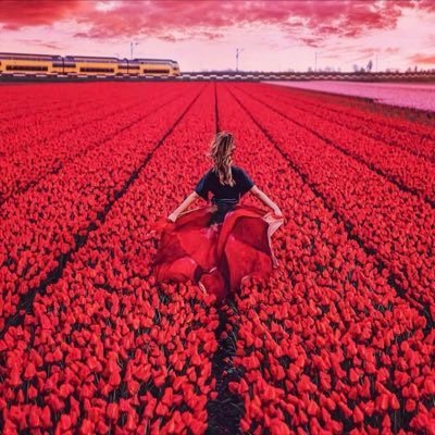 Mooooooognyan's profile picture. 