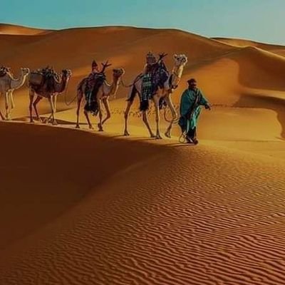 RadwanbbBb's profile picture. مملكه المغربيه