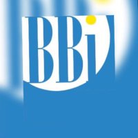 Building Blocks (@bbinitiative1) 's Twitter Profile