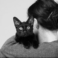 Thierry Le Chat (@thierrychanu) 's Twitter Profile