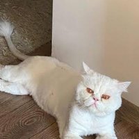 ecenurkasikci GS💛❤ (@ecenurkasikci) 's Twitter Profile