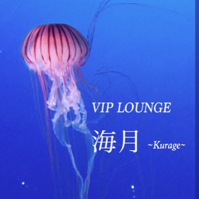 VIP LOUNGE 海月 ~Kurage~ (@Lico_Noa) / X VIP LOUNGE 海月 ~Kurage~ (@Lico_Noa) / X