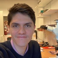 Tulio Silva, MD (@tuliomsilvas) 's Twitter Profile
