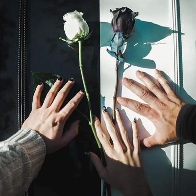 Peterslostboy4's profile picture. I do covers:
https://t.co/Z8NppX7aKK
SLU '24 💚💛
|| 8/16/21 ❤ ||