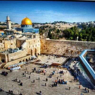 Di83160122's profile picture. 