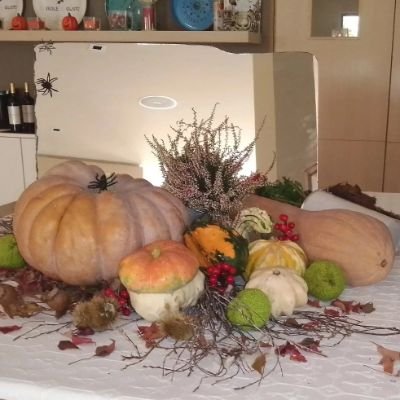 kekka_2014's profile picture. 