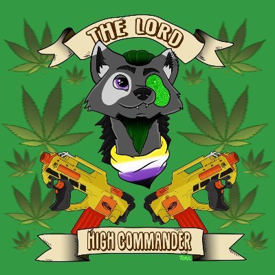 Lord High Commander of Stonerwatch, Twitch affiliate, queer NB trash.
Come watch me do dabs and be bad at video games.
