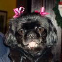 Clara Belle Turner - @Miss_ClaraBelle - Twitter