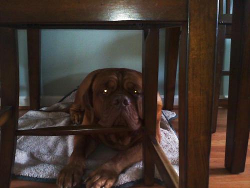 MikeS5421's profile picture. 