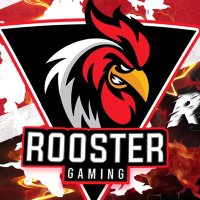 Rooster Gaming (@roostergaming2k) 's Twitter Profile