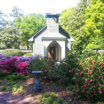 ctalmage62's profile picture. 