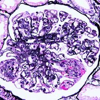 善川チャーリ (@goodbye_nuclear) 's Twitter Profile