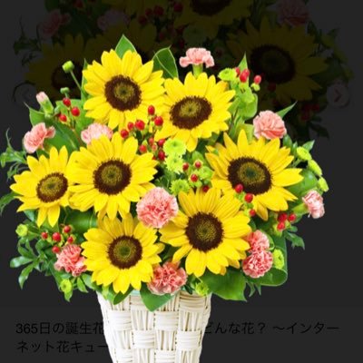 案山子さんのプロフィール画像