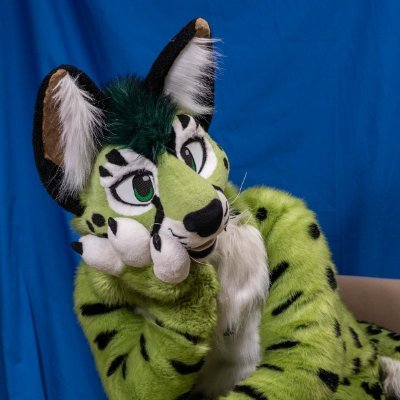 who's SPRUCE? he's a snow leopard/jaguar/serval thing in Virginia. | NSFW bsky = spruce@sheath.city | @spruceloops is my 🔞 art acc | gay for a purple monster