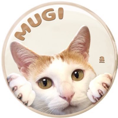 mugi411 Profile Picture