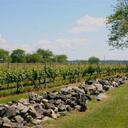 Raphael Herz - @RenewEnDev - Twitter