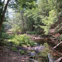 The Red Rovers (@theredrovers) 's Twitter Profile