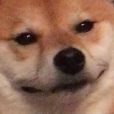 LazyHound5's profile picture. 26 year old Gamer