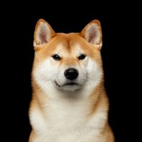 M○nkΞ¥B☆llz (@monkeyyballzz) 's Twitter Profile