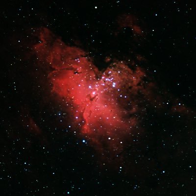 ZedHed220's profile picture. 