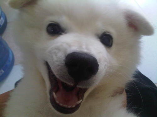 RRdlaTorre's profile picture. ESPECIALISTA