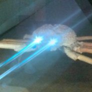 infosec_crab's profile picture. 49 20 61 6d 20 74 68 65 20 44 61 72 6b 20 50 72 69 6e 63 65 20 6f 66 20 54 72 75 74 68 2e

41 6c 6c 20 4f 70 69 6e 69 6f 6e 73 20 61 72 65 20 6d 79 20 6f 77 6e