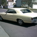 Pat Capra Reed - @patsbullyblog - Twitter