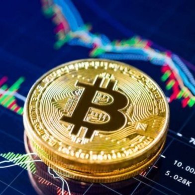 cryptojeff17's profile picture. 