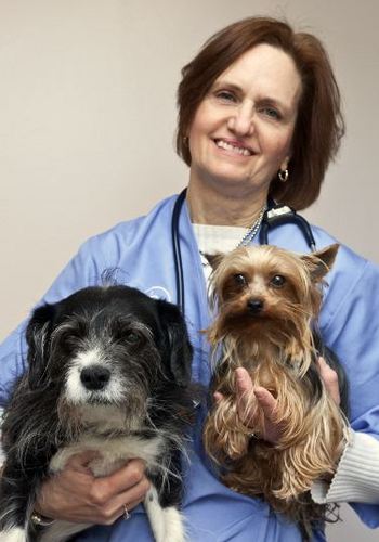 Aston Veterinary Hospital has been caring for pets in Delaware County for more then 60 years.