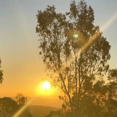 peachbruton's profile picture. 