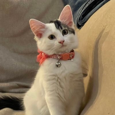 bruh01932's profile picture. 