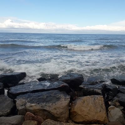 Ferdidrann52's profile picture. 