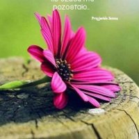 Niebaćtuska (@barbara75359509) 's Twitter Profile