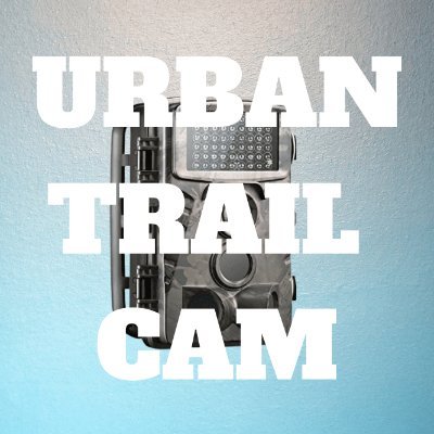 urbantrailcam1's profile picture. https://t.co/UyFHe0BHYh
https://t.co/dXEg6YsYmg