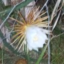 Randy Reece - @RandyRe38120187 - Twitter