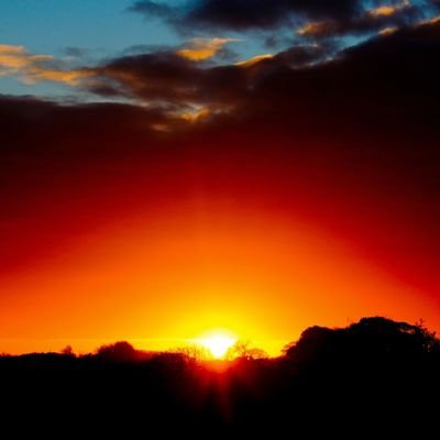 JA19281's profile picture. 