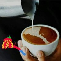 Fitsum (@fachu888) 's Twitter Profile